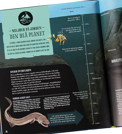 Alvilda Bog - Viden om verden: Jorden og Universet