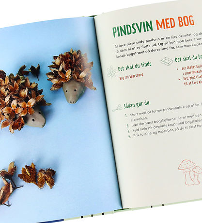 Alvilda Bog - Naturkrea for børn - Året rundt