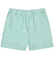Copenhagen Colors Shorts - Sporty - Sharp Green/Cream