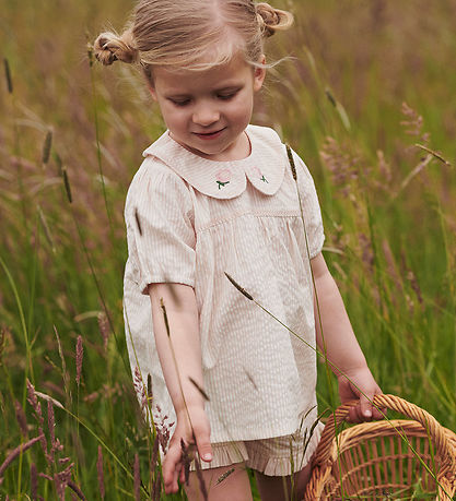 Copenhagen Colors Top - Dusty Rose/Cream