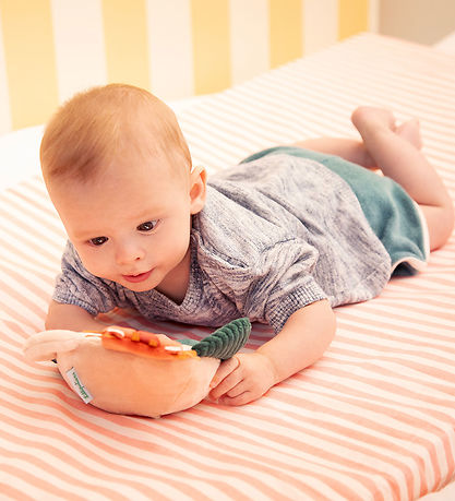 Lilliputiens Mirror - Jack