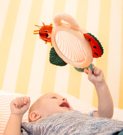 Lilliputiens Mirror - Jack