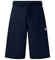 Champion Sweatshorts - Bermuda - Navy