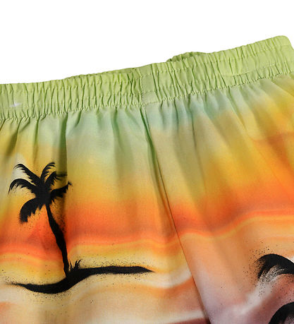 Molo Shorts - Solar - Airbrush Beach