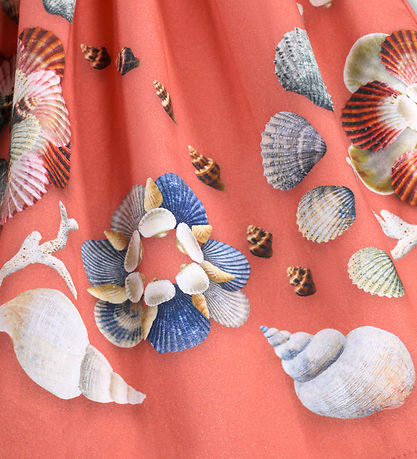 Molo Kjole - Rib - Cassandra - Decoration Shells