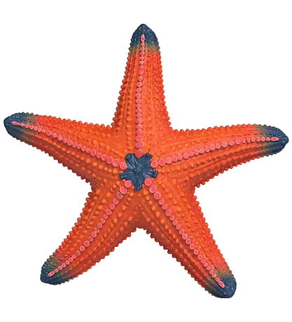 Schleich Wild Life - Starfish m. Color Change - H: 1,3 cm - 1490