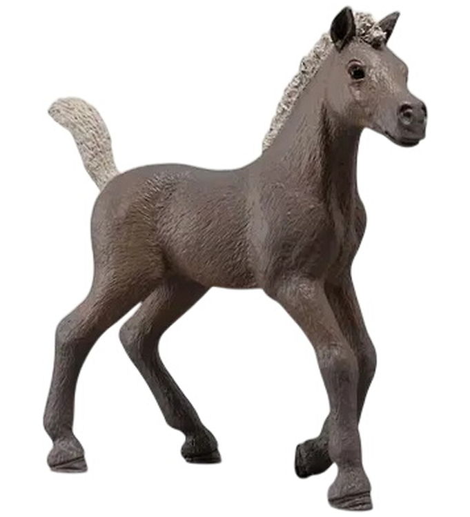 Schleich Horse Club - Collectible Foal Darcy - 81460