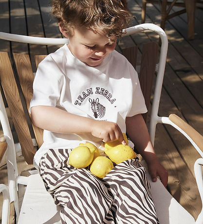 Fliink T-shirt - Sommer Zebra - Cloud Dancer