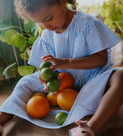 Fliink Kjole - Musselin - Cha Cha - Marina Stribed