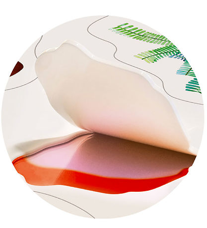 mierEdu Klistermærker - Flytbare - Dinoland