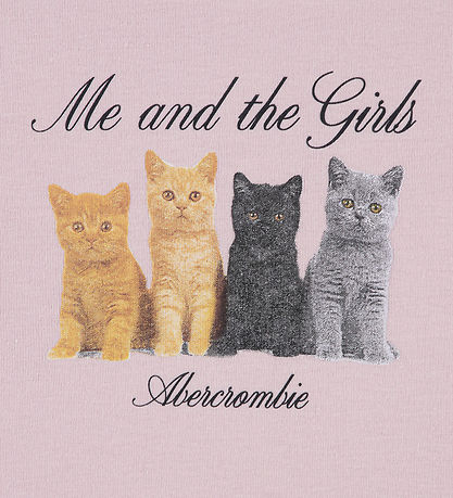 Abercrombie & Fitch T-shirt - Chalk Pink m. Katte