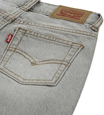 Levis Jeans - 555 Relaxed Straight - Boulder