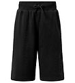 Champion Sweatshorts - Bermuda - Black