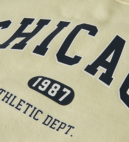 Name It Sweatshirt - NkfFabia - Pear Sorbet