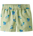 Name it Badeshorts - NmmZaka - Swamp