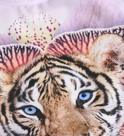 Molo Badedragt - Nika - Orchid Tiger
