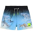 Molo Badeshorts - UV50+ - Niko - Air Brush Deep