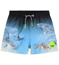 Molo Badeshorts - Niko - Air Brush Deep