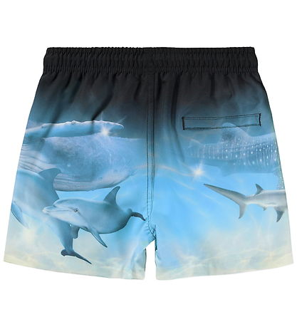 Molo Badeshorts - Niko - Air Brush Deep