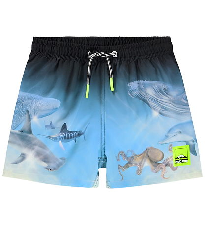 Molo Badeshorts - Niko - Air Brush Deep