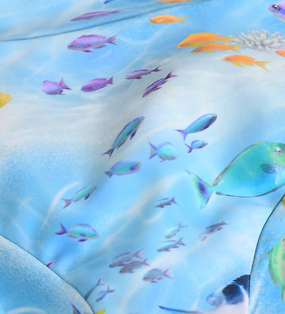 Molo Blebadebukser - Nick - Rainbow Sea