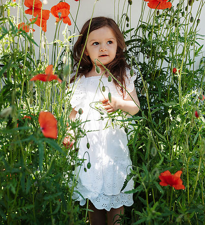 Hust and Claire Kjole - Karoline - Hvid