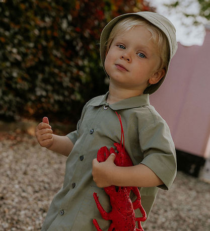 Lalaby Bøllehat - Loui - Turtle