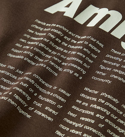 Name It T-shirt - NkmHolle - Chestnut