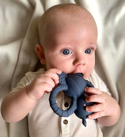 Filibaba Bidering - Felix the Fly Muddly blue