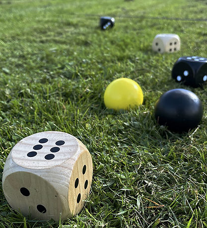 Bex Sport Havespil - Træ - 5Star Family