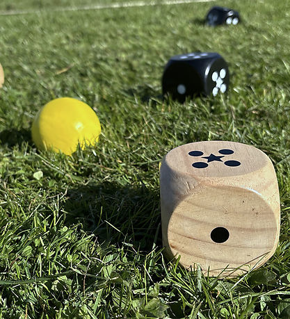 Bex Sport Havespil - Træ - 5Star Family