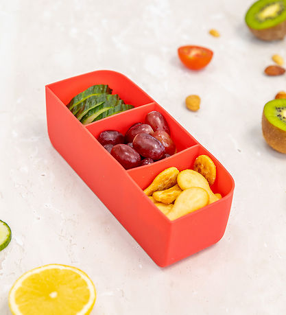 Montiico Silikoneform - Bento Feast Tray - Watermelon