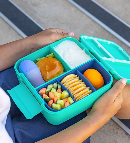 Montiico Indsats - Bento Bite Tray - Navy