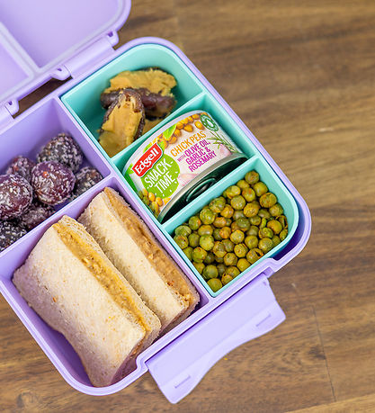 Montiico Indsats - Bento Bite Tray - Marine