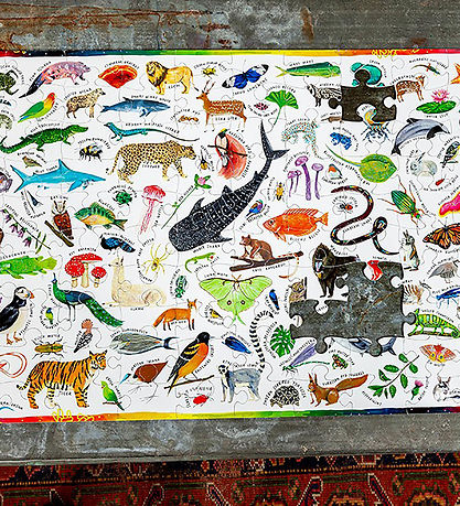 Eeboo Puslespil - 100 Brikker - Beautiful World