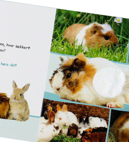 Forlaget Bolden Bog m. Lyd - Lyt, Rør og Føl: Søde Dyr