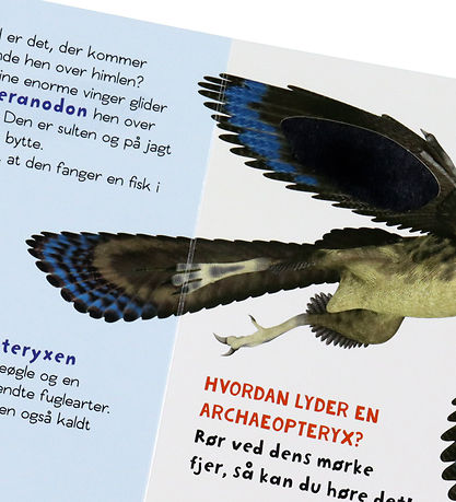 Forlaget Bolden Bog m. Lyd - Lydbog: Dinosaurer - Dansk