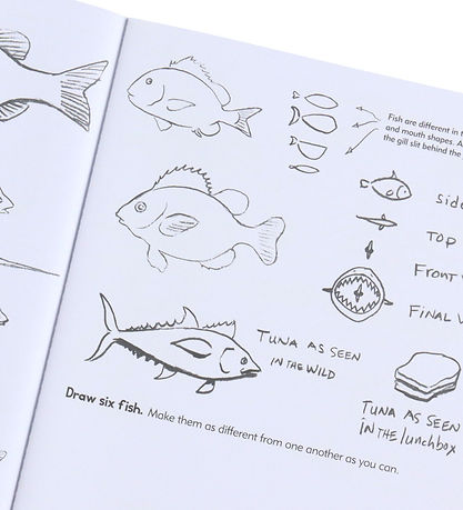 Eeboo Bog - Lær At Tegne - Dyr - Engelsk