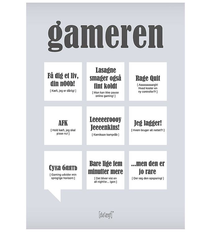 Dialægt Plakat - 30x42 - Gameren