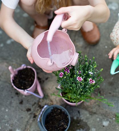 Scrunch Vandkande - 20x15 cm - Silikone - Støvet Rosa Scrunch Vandkande - 20x15 cm - Silikone - Støvet Rosa
