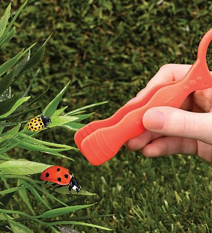 B. toys Insektenparadies B. toys Insektenparadies