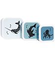 Petit Monkey Lunchbox Set - 3 pcs - Sea Animals Petit Monkey Lunchbox Set - 3 pcs - Sea Animals