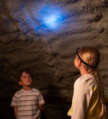 Bosch Mini Pandelampe - Legetøj - 6,5x4 cm - Grøn Bosch Mini Pandelampe - Legetøj - 6,5x4 cm - Grøn