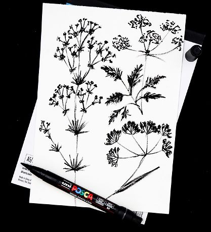 Posca Tuscher - 8 Spidsstørrelser - Hvid
