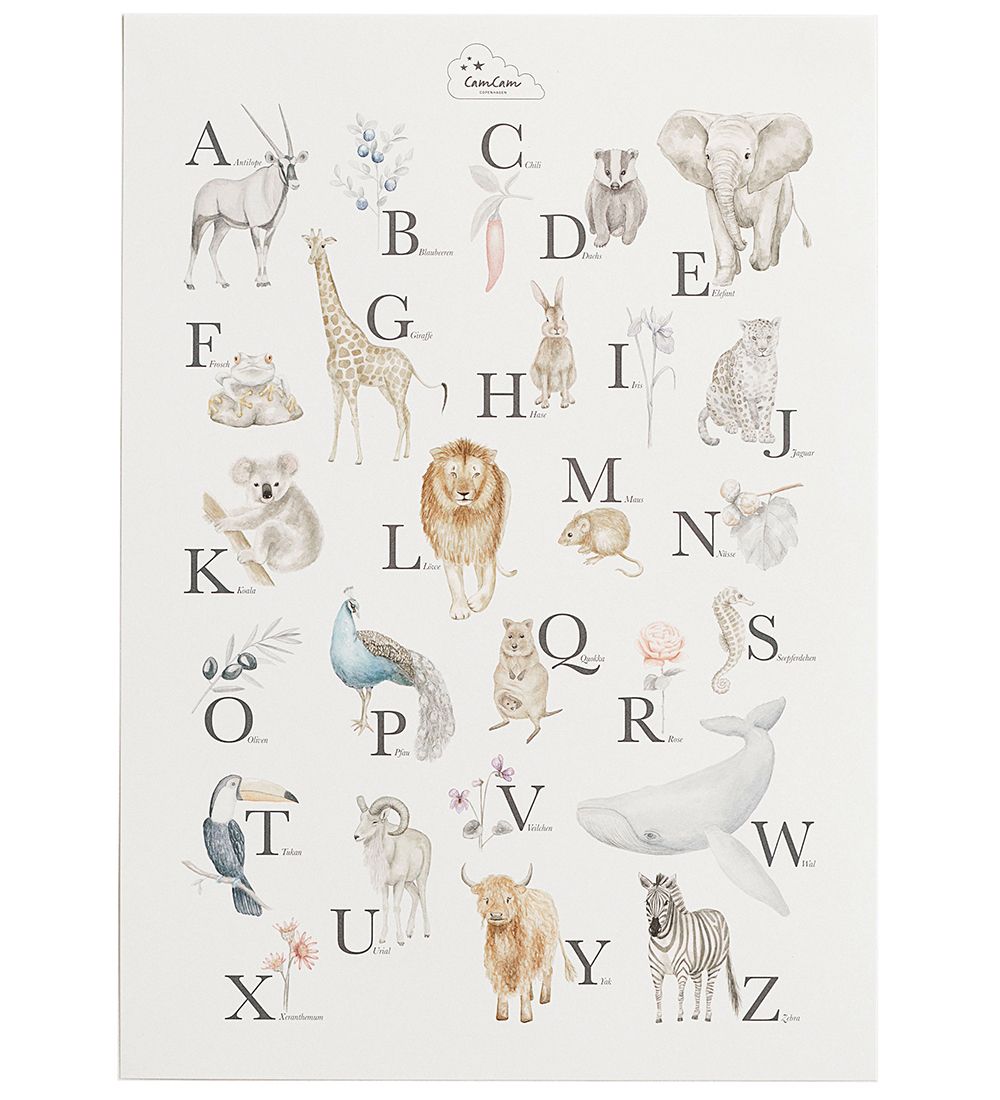 Cam Cam Poster - Das Alphabet - Deutsch - Cam Cam - One Size - Poster