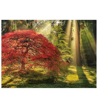 Heye Puzzle Puslespil - 1000 Brikker - Guiding Light Heye Puzzle Puslespil - 1000 Brikker - Guiding Light