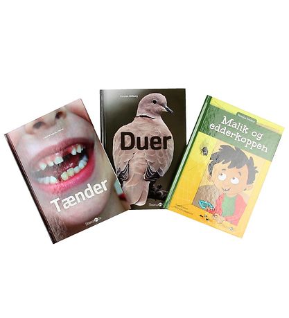 Straarup & Co Buchpaket - 2. Klasse - Gemischt. - 5 Bücher Straarup & Co Buchpaket - 2. Klasse - Gemischt. - 5 Bücher