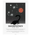 Kids by Friis Plakat - Stjernetegn - Skorpionen Kids by Friis Plakat - Stjernetegn - Skorpionen