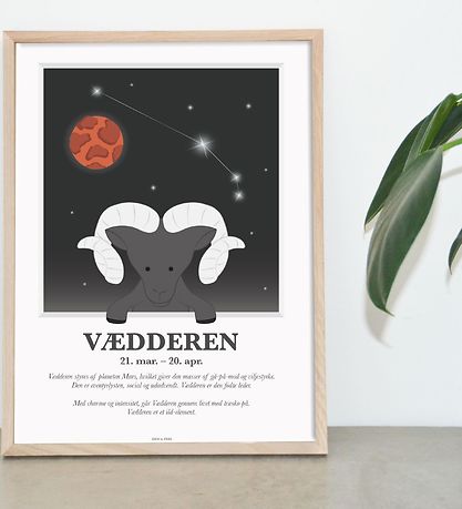 Kids by Friis Plakat - Stjernetegn - Vædderen