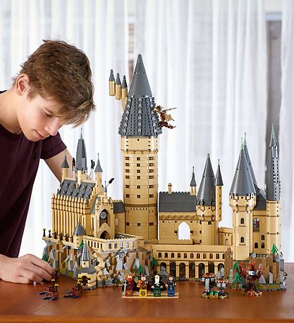 LEGO® Harry Potter - Hogwarts-slottet 71043 - 6020 Dele LEGO® Harry Potter - Hogwarts-slottet 71043 - 6020 Dele
